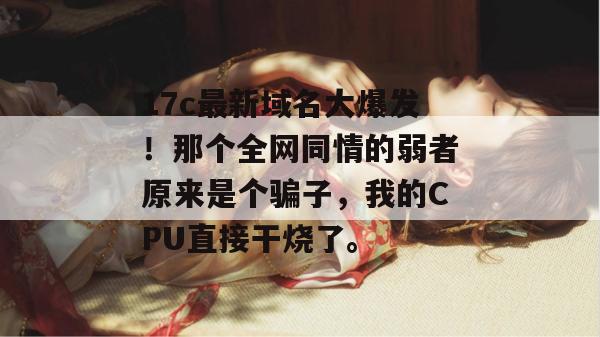 17c最新域名大爆发！那个全网同情的弱者原来是个骗子，我的CPU直接干烧了。